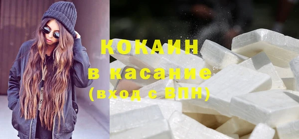 мет Няндома
