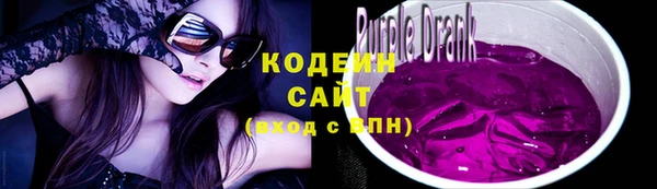 гашик Осинники