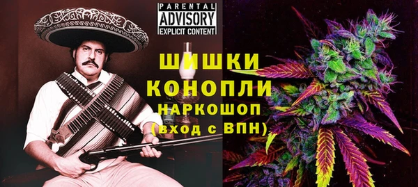 мет Няндома