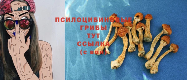 прущий лед Нягань