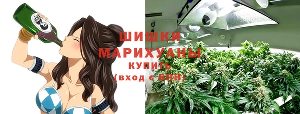 мет Няндома