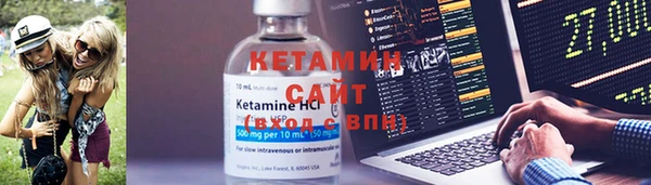 гашик Осинники