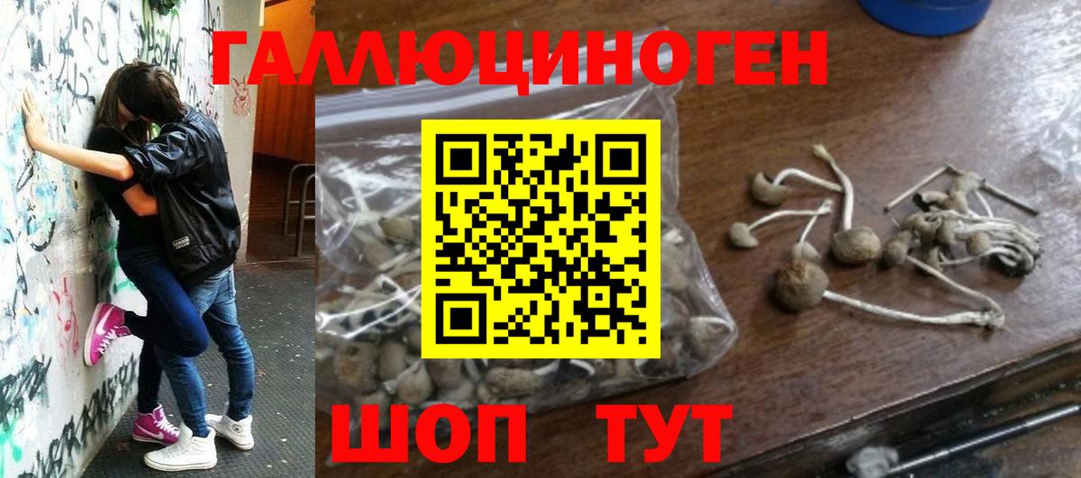 Псилоцибиновые грибы MAGIC MUSHROOMS  Раменское 