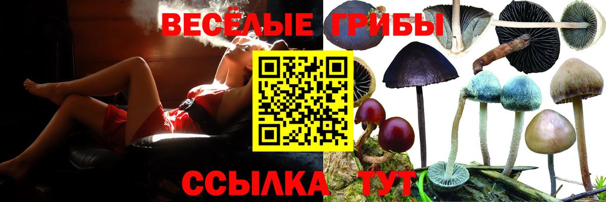 Псилоцибиновые грибы MAGIC MUSHROOMS  Вход с VPN  Раменское 