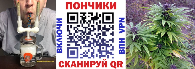 маркетплейс клад  Раменское  Бошки марихуана ГИДРОПОН 